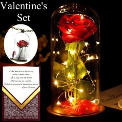 Beauty and the Beast Rose in a Glass Dome With Necklace and Love Letter | Everlasting Belle Rose