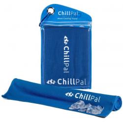 Chill Pal Mesh Cooling Towel