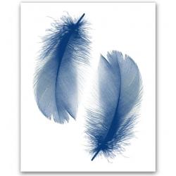 Feather Print 8x10`