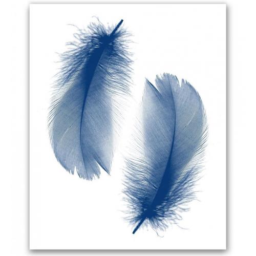 Feather Print 8x10`