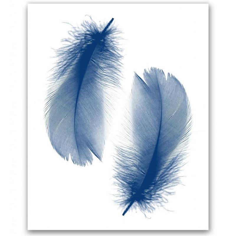 Feather Print 8x10`