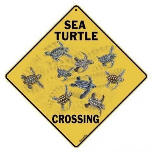 Crosswalk Sea Turtle Crossing. 12Aluminum Sign