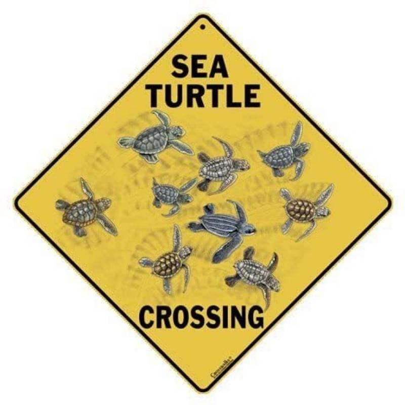 Crosswalk Sea Turtle Crossing. 12Aluminum Sign