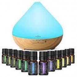 Anjou Essential Oil Diffuser