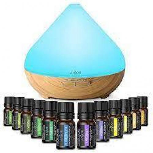 Anjou Essential Oil Diffuser