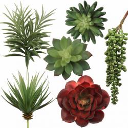 Larksilk Succulent Assortment