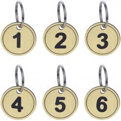 50 Pack ABS Key Tags with Ring, Numbered ID Tags