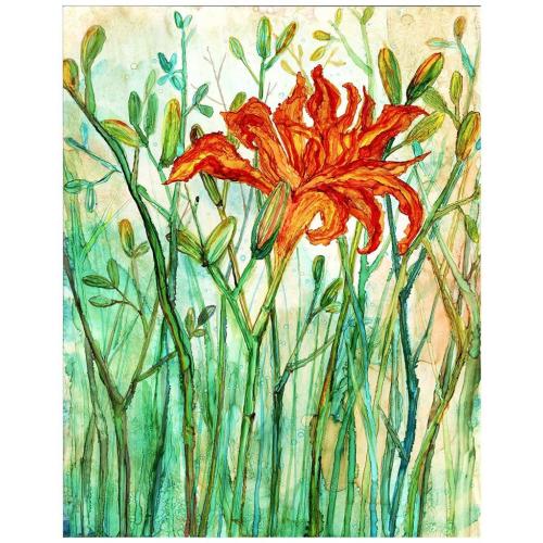 Orange Daylily Artwork Print
