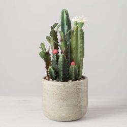 Sullivans Artificial Flowering Cactus