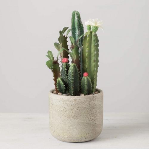 Sullivans Artificial Flowering Cactus