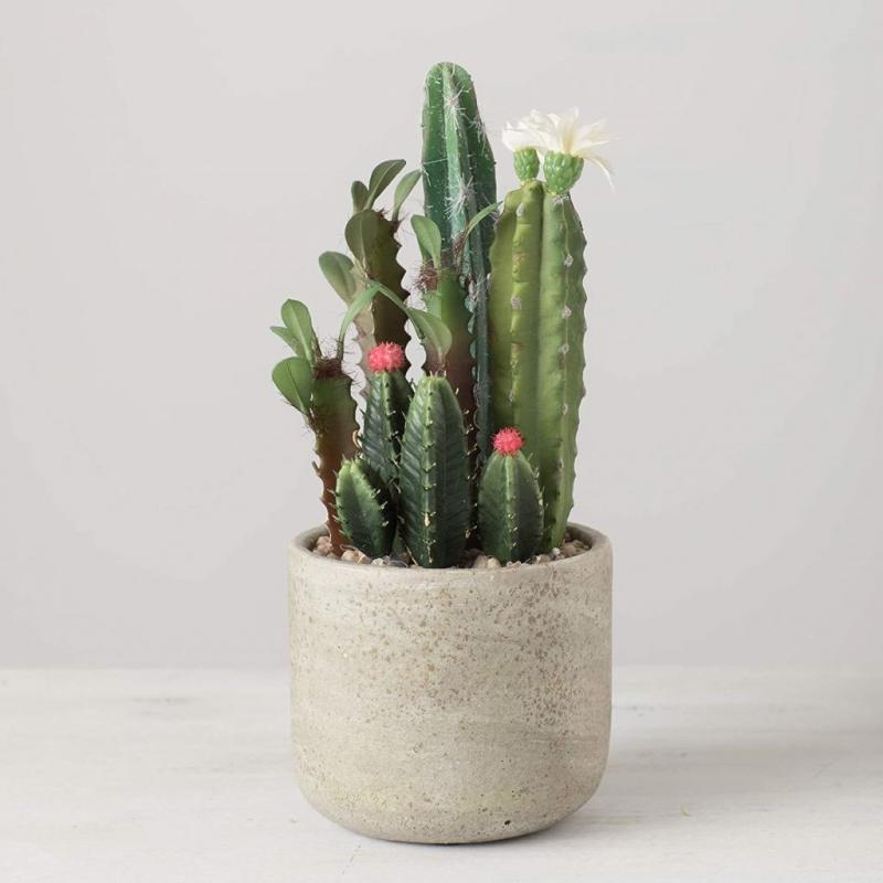 Sullivans Artificial Flowering Cactus