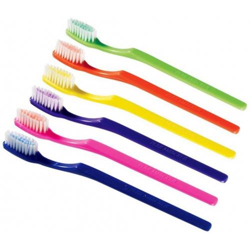 36 Mint Burst prepasted colorful toothbrushes