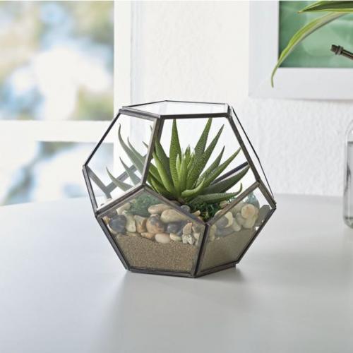 Better Homes & Gardens Geo Metal and Glass Terrarium, 6 in L x 6 in W x 5