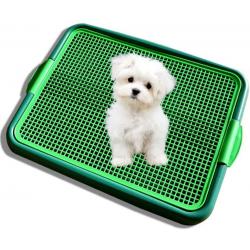 Klean Paws Indoor Dog Potty, No Torn Potty Pads! Keep Paws Dry!