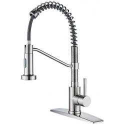 Forious Kitchen Faucet