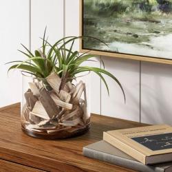 Decorative Driftwood Vase Filler Natural - Threshold