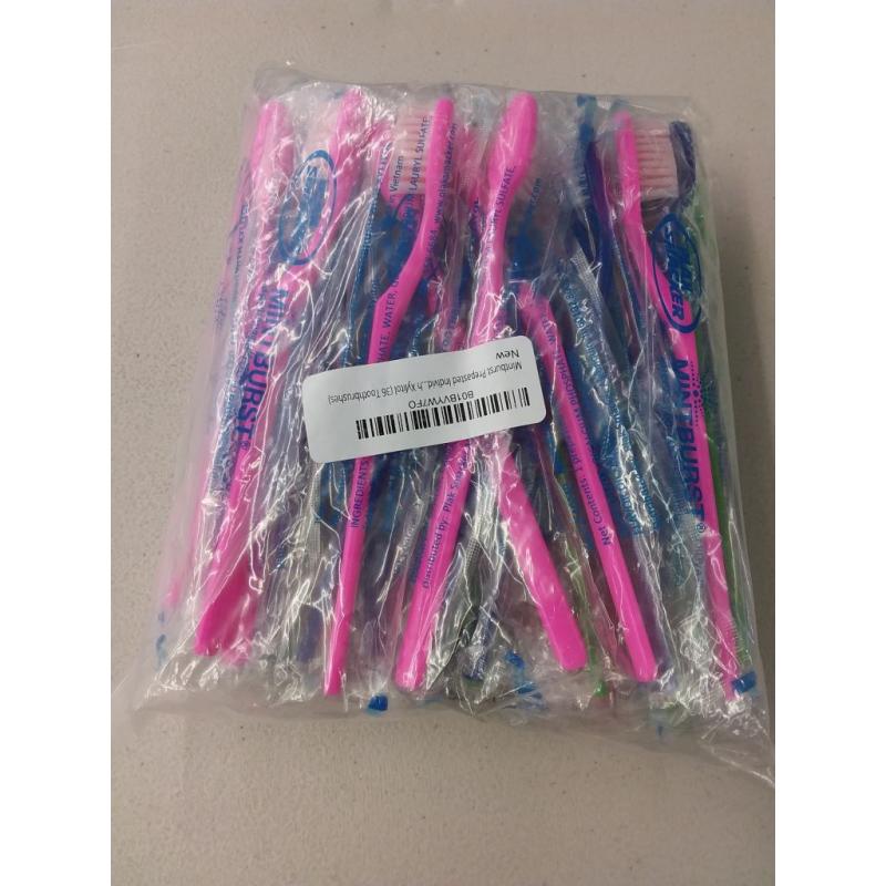 36 Mint Burst prepasted colorful toothbrushes