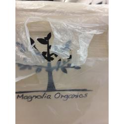 Magnolia Organics Dream Collection Sheet Set - Twin, Natural