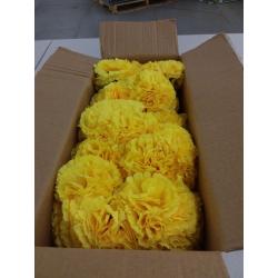 Royal Imports, 100 Yellow Silk Carnations