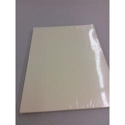 Cardstock Paper - Recollections