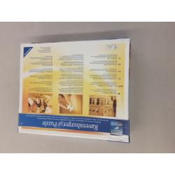 Ravensburger 300 Piece Puzzle