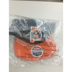 Auburn Tigers Zephyr State Snapback Adjustable Baseball Hat