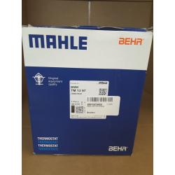Thermostat By Mahle