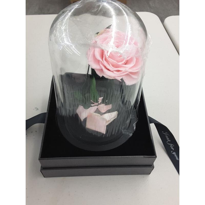 Beauty and the Beast Pink Flower - Sexybot