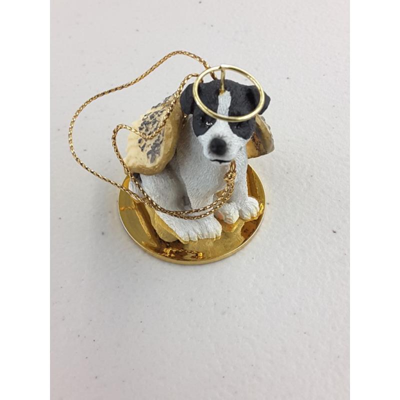 Jack Russell Terrier Dog