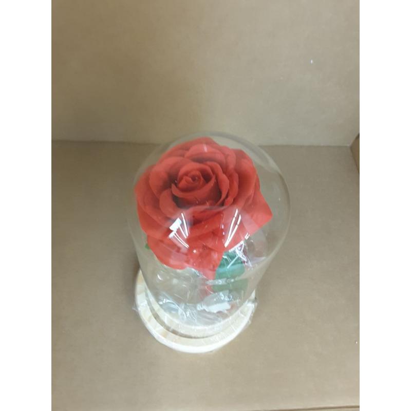 Beauty and the Beast Rose in a Glass Dome With Necklace and Love Letter | Everlasting Belle Rose