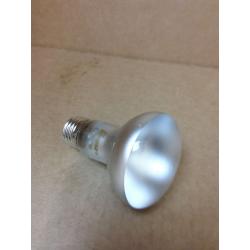 Topaz Indoor Reflector Flood Bulb