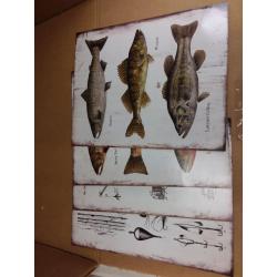Fishing Accessories Prints