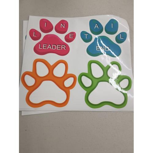 Paw-Shaped Floor Stickers