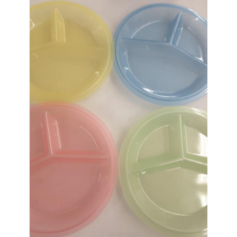 Divided Plate and Lid Set