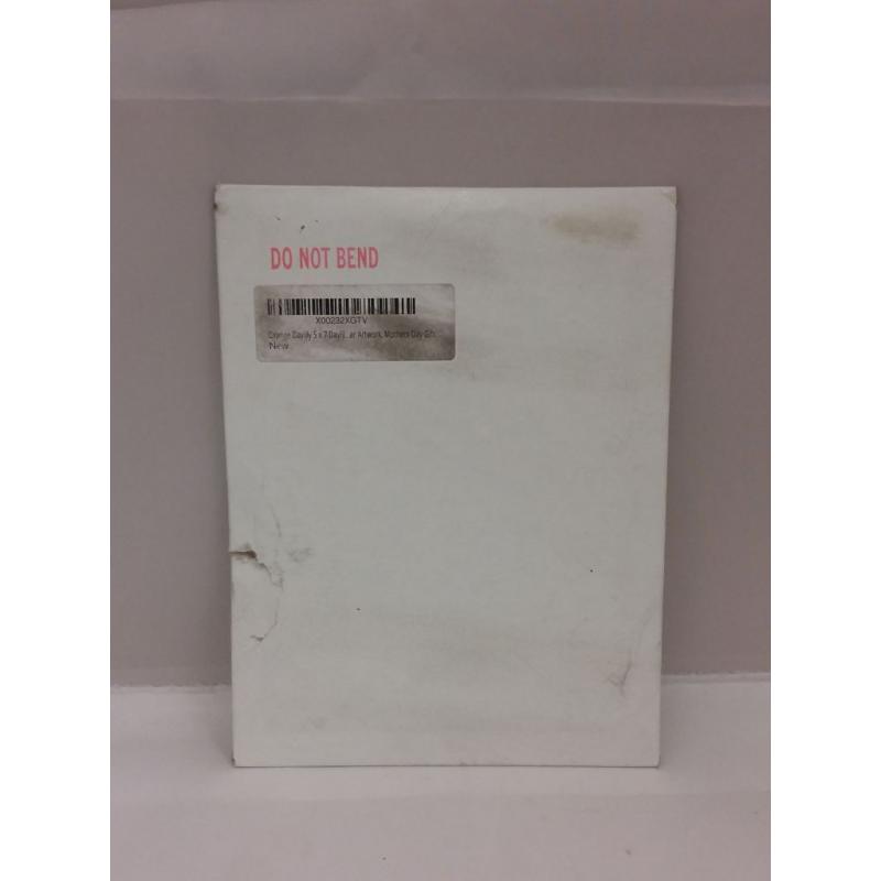 Orange Daylily Artwork Print