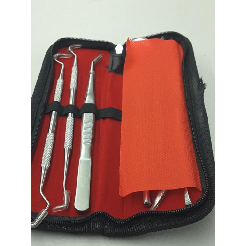 Dental Tools 6 Pack