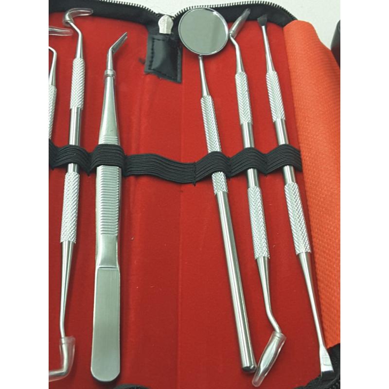 Dental Tools 6 Pack