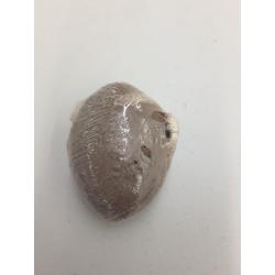 Zenda Natural Earth Lava Pumice Stone