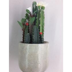Sullivans Artificial Flowering Cactus