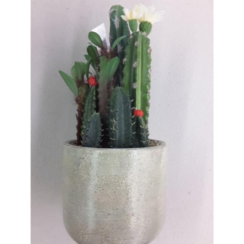 Sullivans Artificial Flowering Cactus