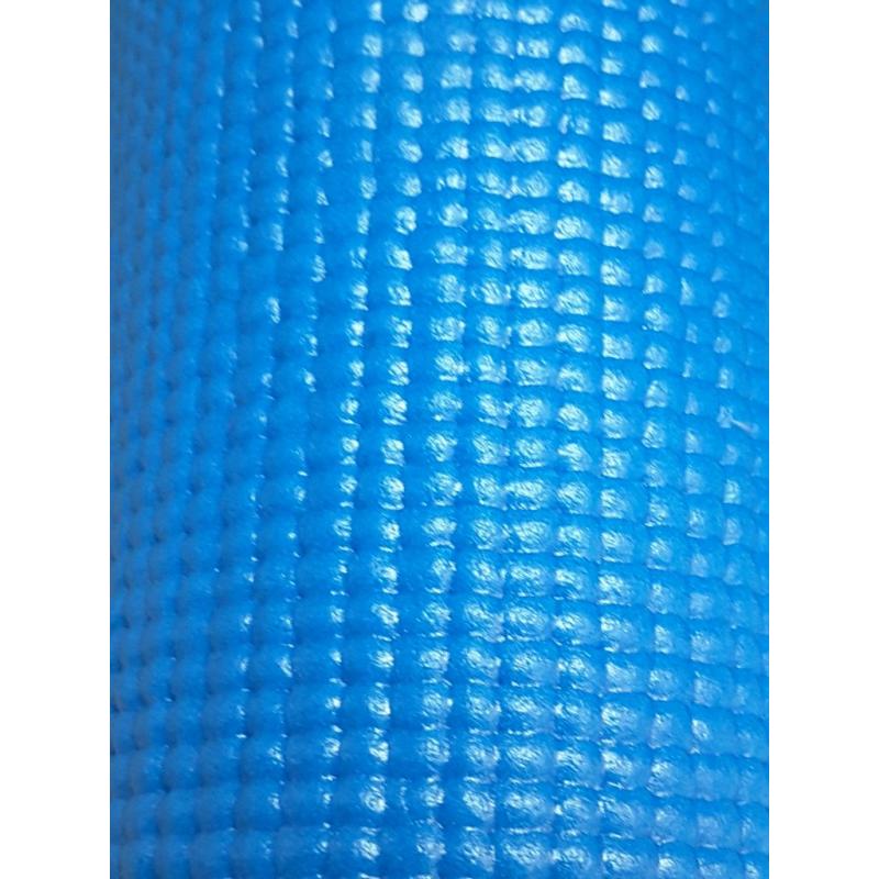 Sunny Health and Fitness Blue Yoga Mat With Padding