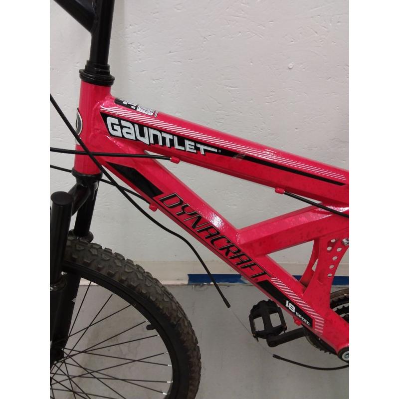 Dynacraft 24 Gauntlet Mountain Bike, Red