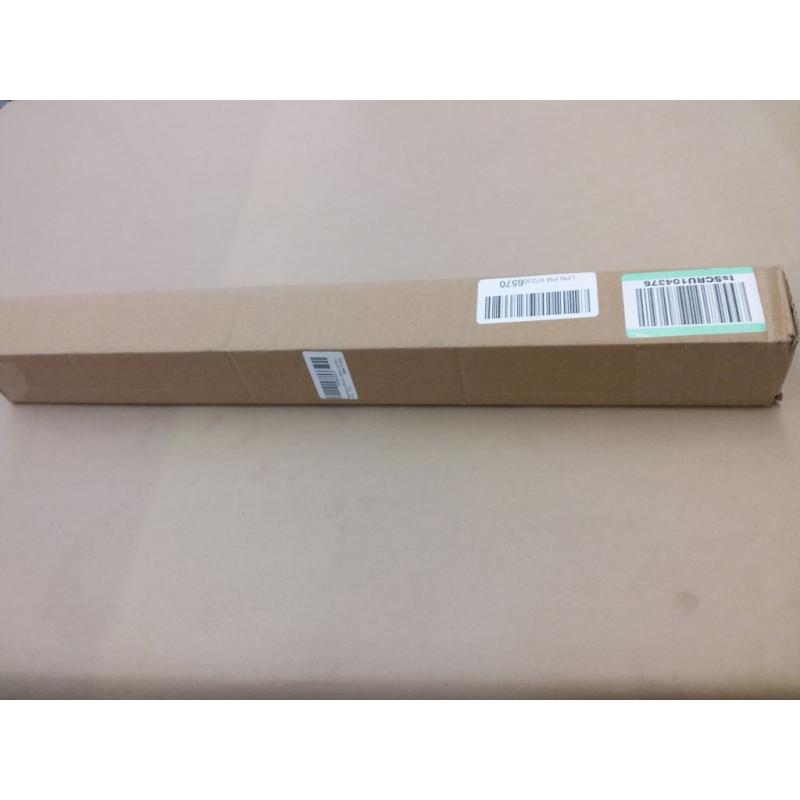 Waterproof Flower Wrapping Paper, white/gold