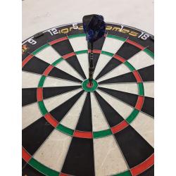 Ignat Games Assassin Elite Pro Dart Board