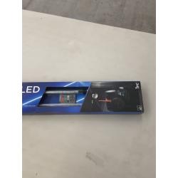 Alpena Britewhip LED Pole