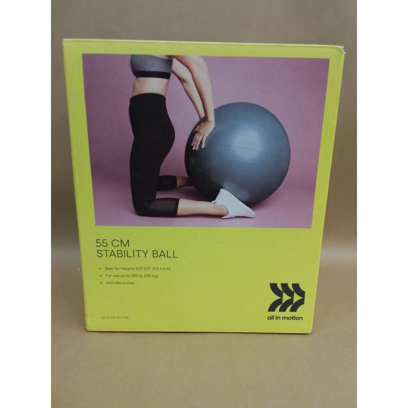 Stability Ball - All in Motion