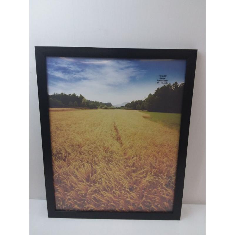 16 x 20 Profile Poster Frame Black
