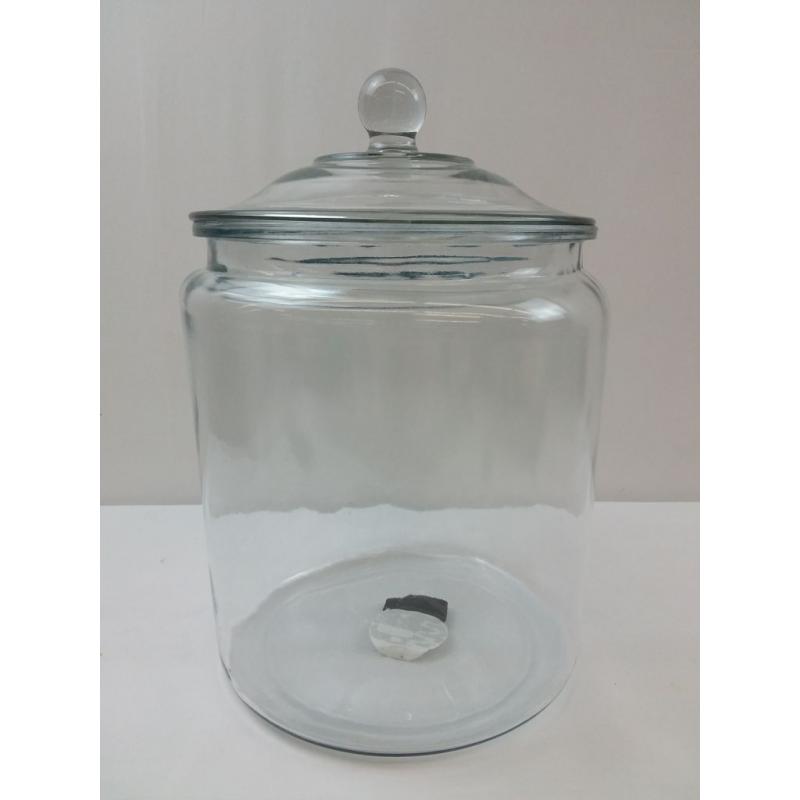 256oz Glass Jar and Lid