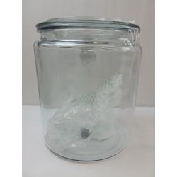 256oz Glass Jar and Lid