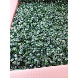 20x 20 Artificial Boxwood Panels Topiary Hedge Plant, Privacy Hedge Screen
